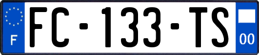 FC-133-TS
