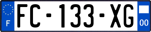 FC-133-XG