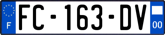 FC-163-DV