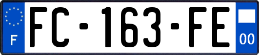 FC-163-FE