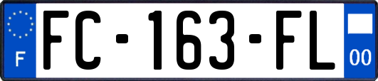 FC-163-FL