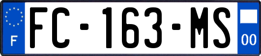FC-163-MS