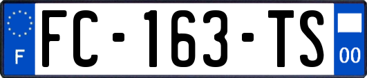 FC-163-TS