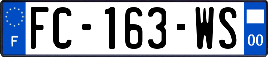 FC-163-WS