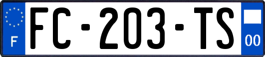 FC-203-TS