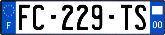 FC-229-TS
