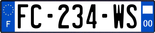 FC-234-WS