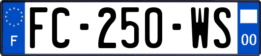 FC-250-WS