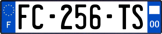 FC-256-TS