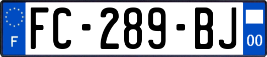 FC-289-BJ