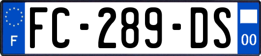 FC-289-DS