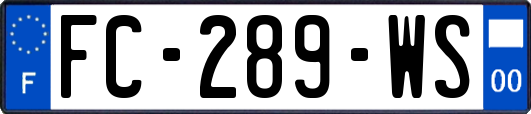 FC-289-WS