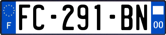 FC-291-BN