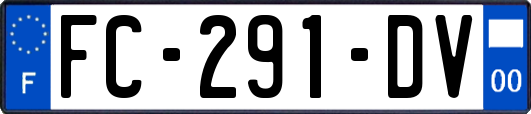 FC-291-DV