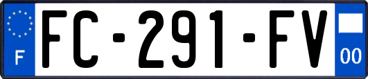 FC-291-FV