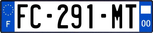 FC-291-MT