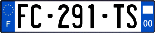 FC-291-TS