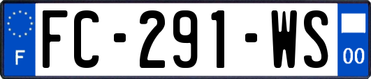 FC-291-WS