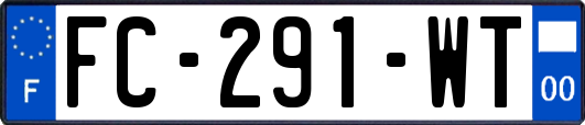 FC-291-WT