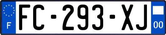 FC-293-XJ