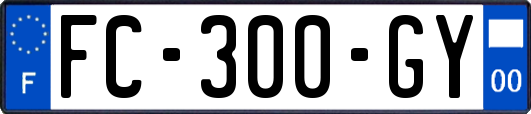 FC-300-GY