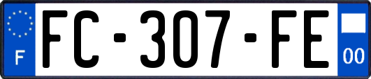 FC-307-FE