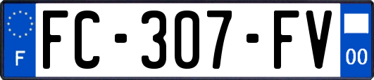 FC-307-FV