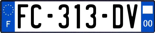 FC-313-DV