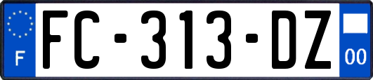 FC-313-DZ