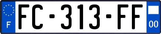 FC-313-FF