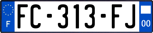 FC-313-FJ
