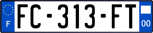 FC-313-FT