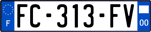 FC-313-FV