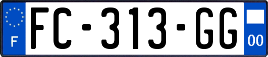 FC-313-GG