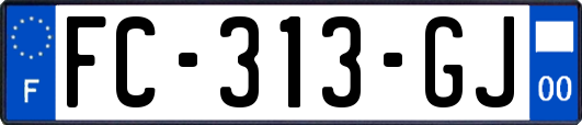 FC-313-GJ