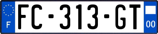 FC-313-GT