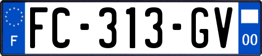 FC-313-GV