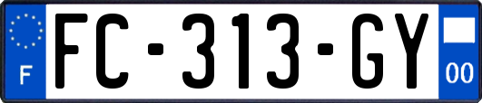 FC-313-GY