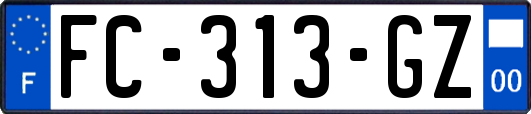 FC-313-GZ