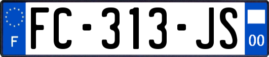 FC-313-JS
