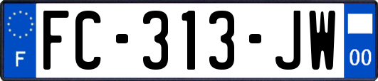 FC-313-JW