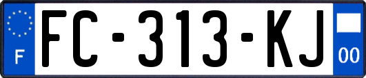 FC-313-KJ