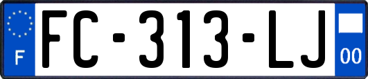 FC-313-LJ