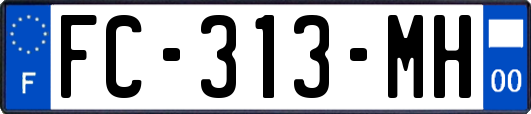 FC-313-MH