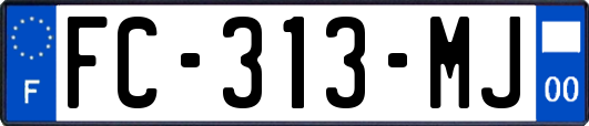 FC-313-MJ