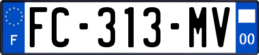 FC-313-MV