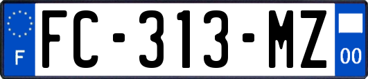 FC-313-MZ