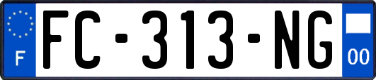 FC-313-NG