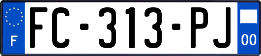 FC-313-PJ