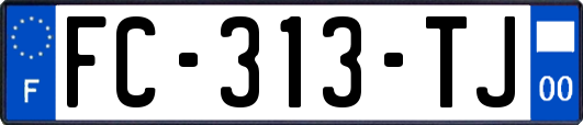 FC-313-TJ